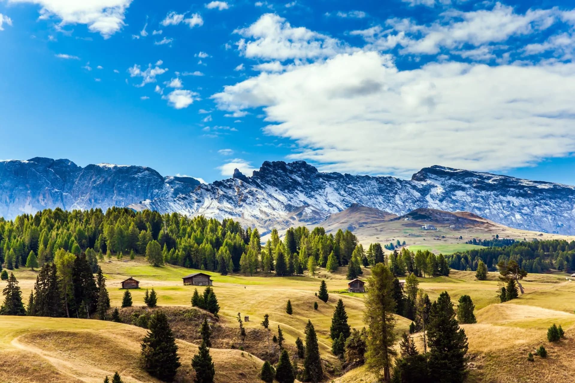 Alpine meadows with cabins, pine forest, and snow-capped mountains under a blue sky.