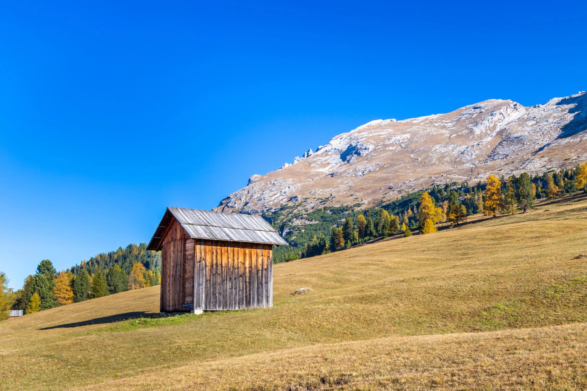 Wooden hut on dry grassy slope below rocky mountain under clear blue sky, Durrenstein.