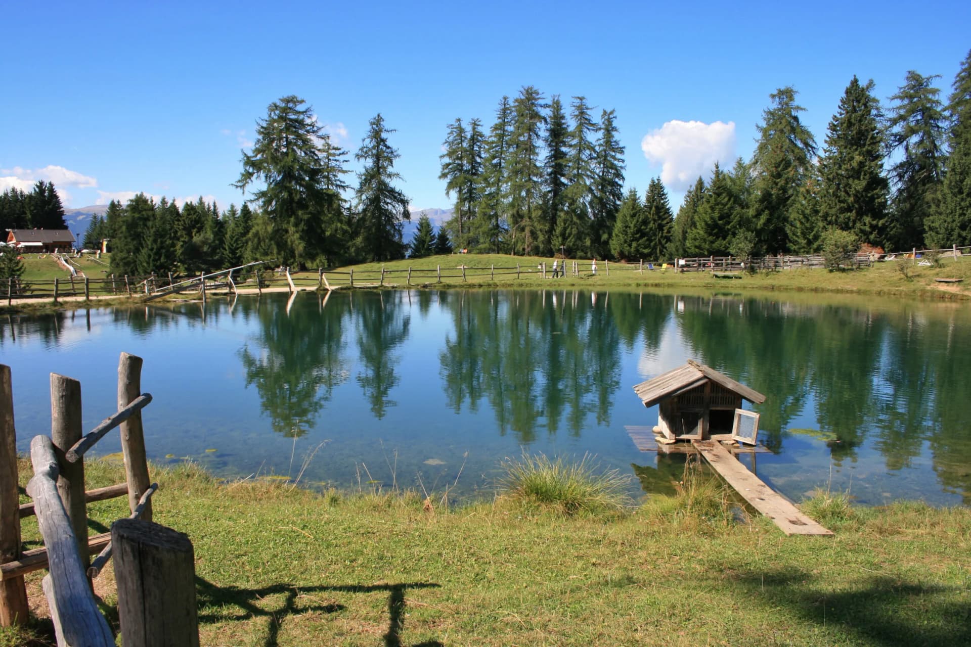 Alpine lake with wooden duck house, reflections of tall pine trees under a blue sky at Marinzen Alm.