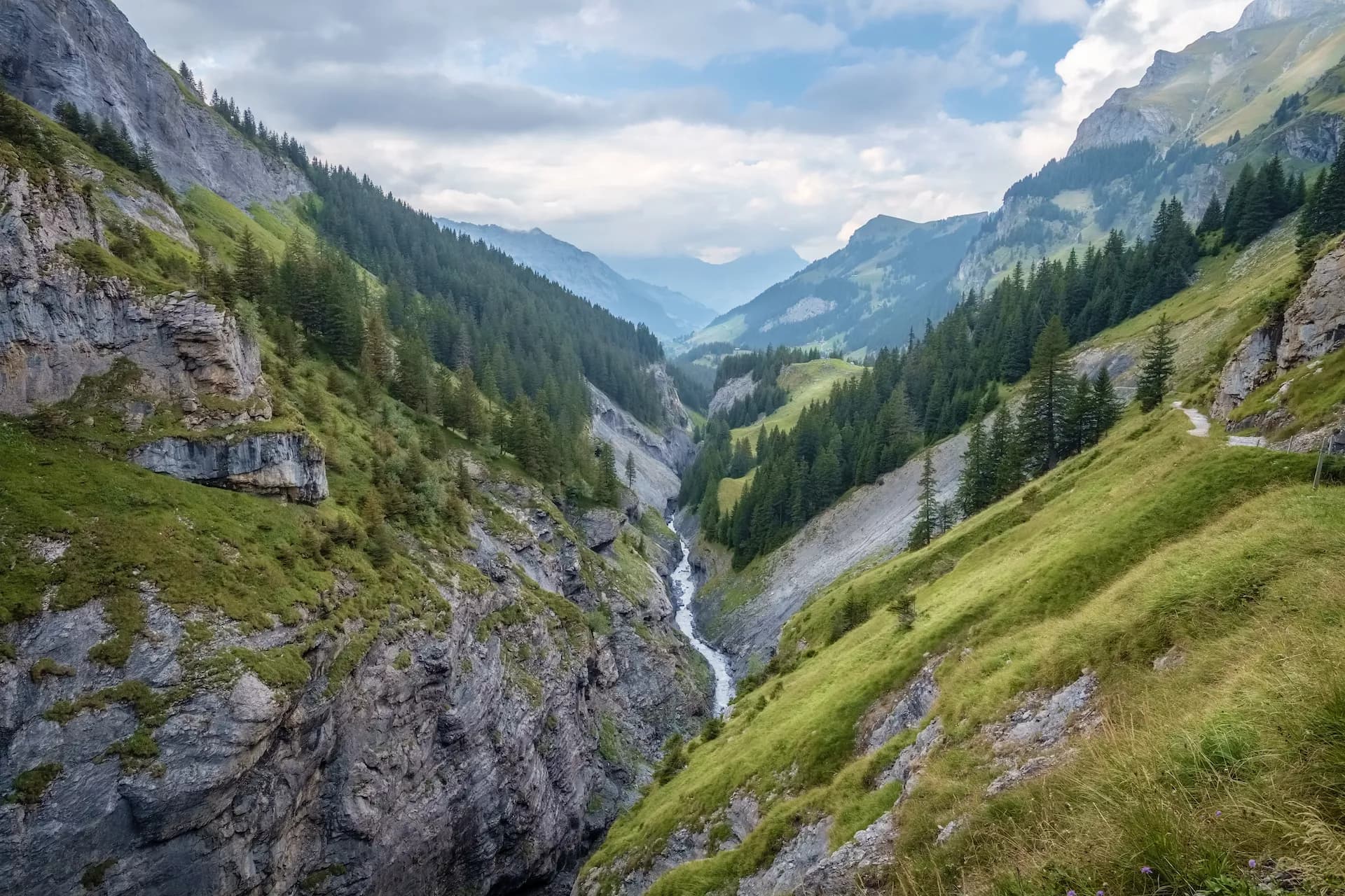 Hiking path above deep gorge with stream, steep grassy slopes, and pine forests in Kiental from Griesalp to Obere Bundalp.