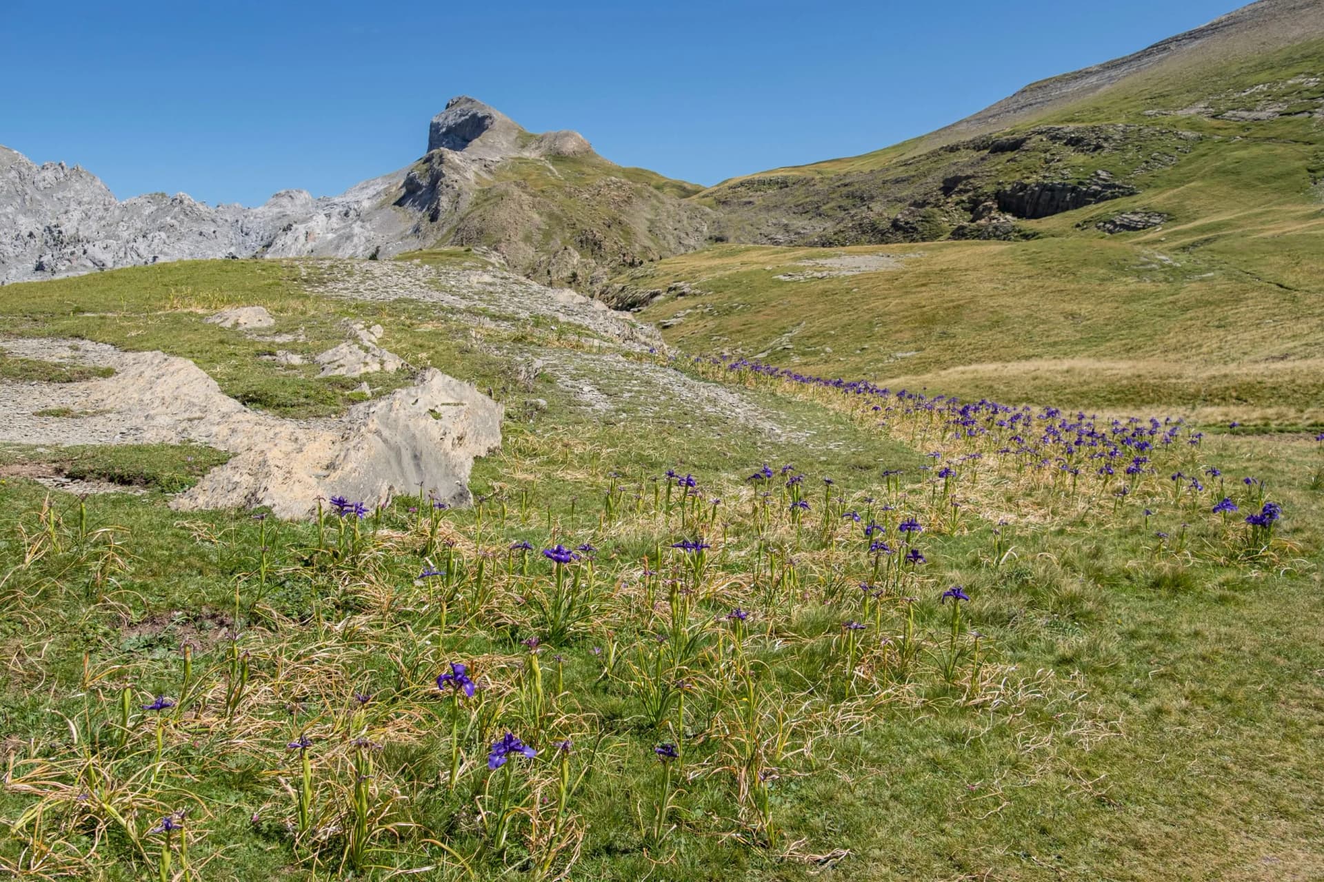 Petrechema (2.371 m) , Huesca, Aragón, Spain, Europe