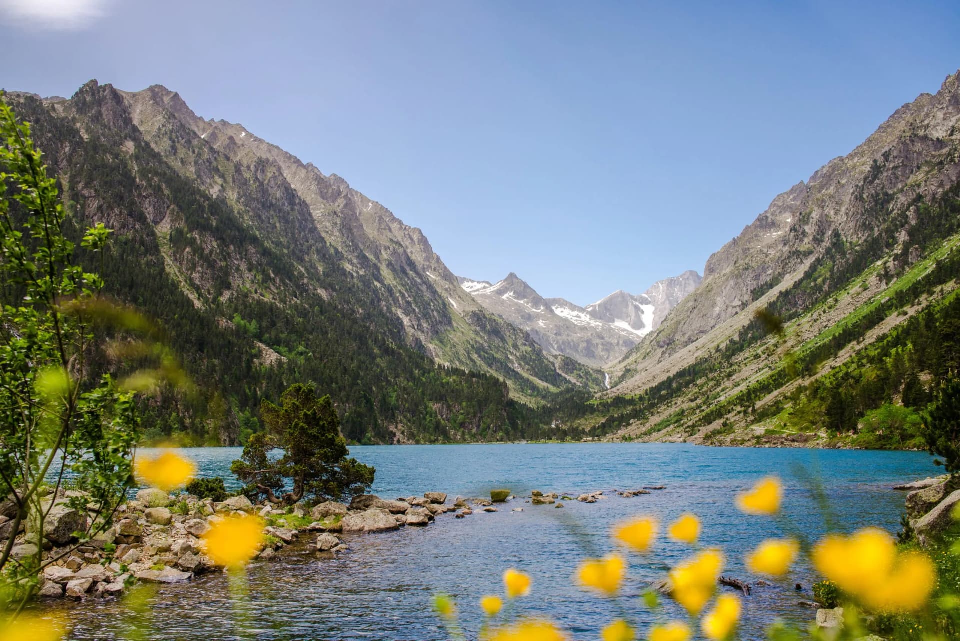 Trekking view of bright blue Lake Gaube with rocky mountains and yellow wildflowers in foreground.