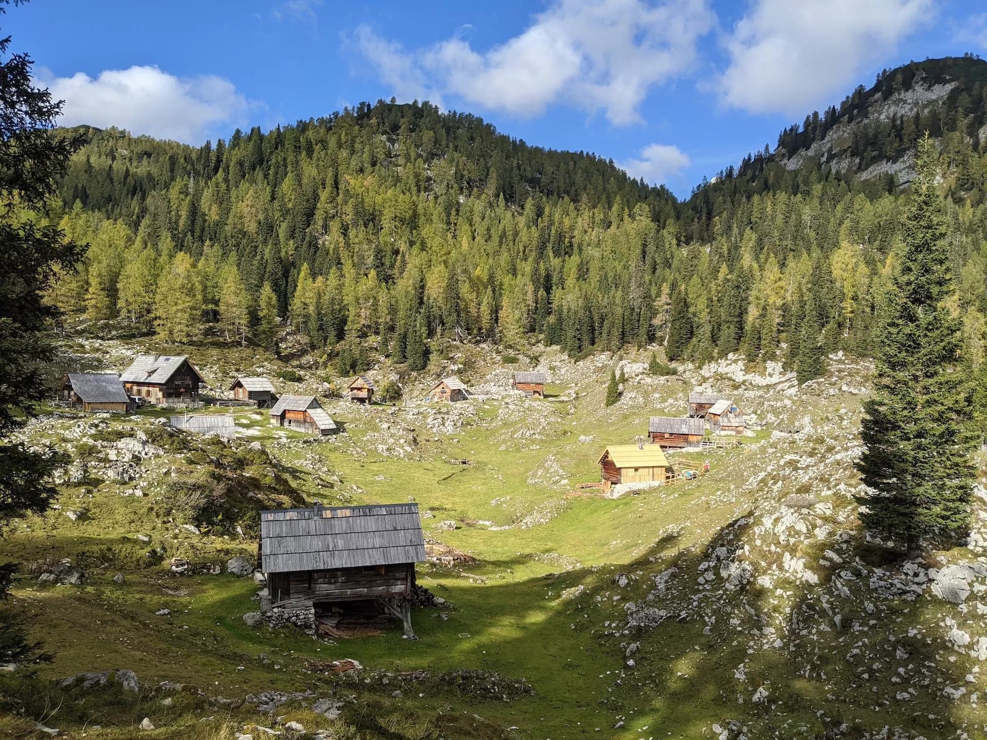 Wooden shepherd huts scattered across a grassy alpine pasture below forested mountains at Dedno Polje.