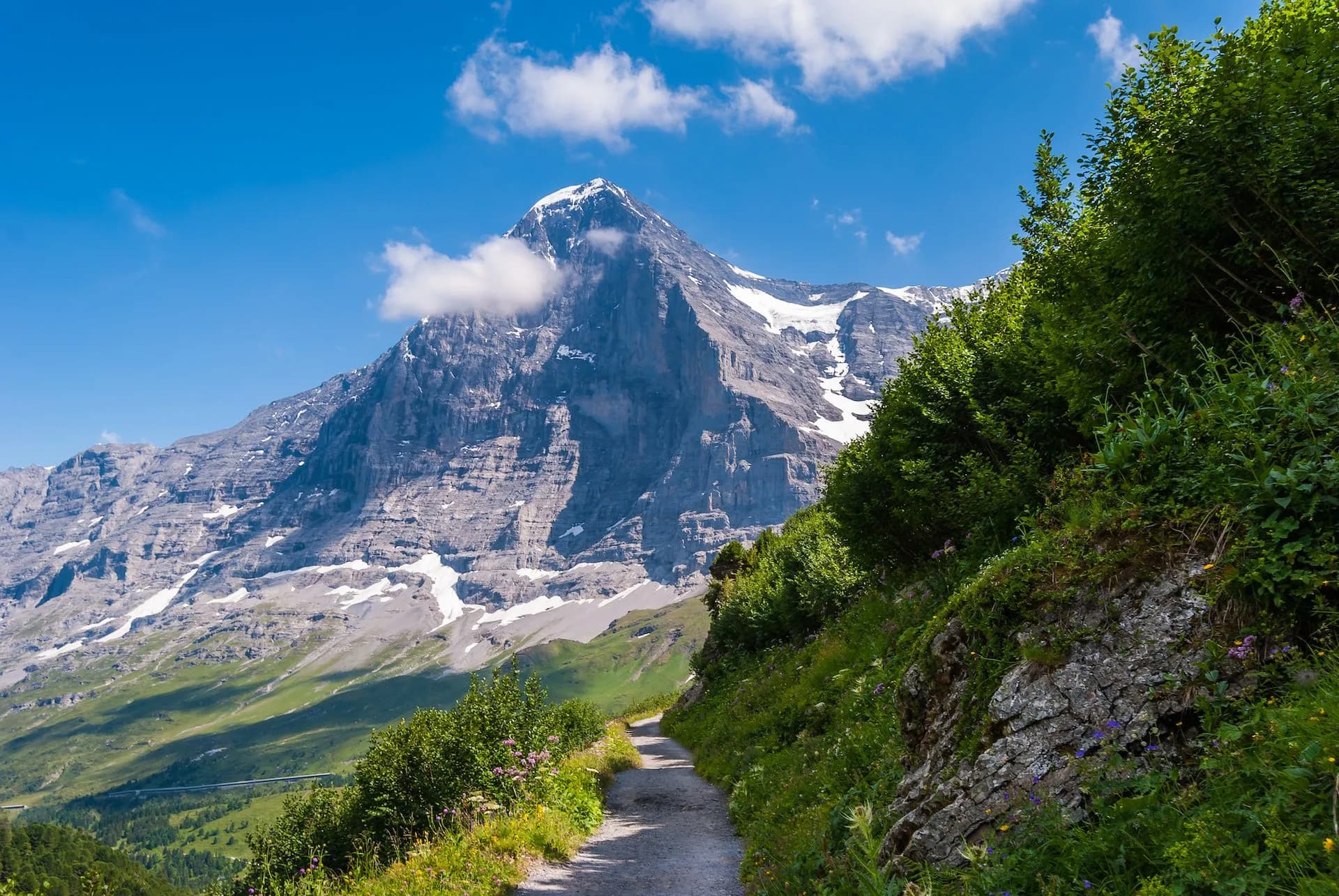 Hiking trail beside lush greenery towards the snowy Eiger North Face in Grindelwald.