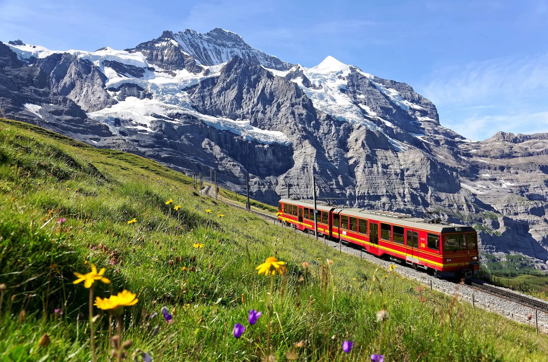 Red train descending from Jungfraujoch past grassy slope with wildflowers toward Kleine Scheidegg